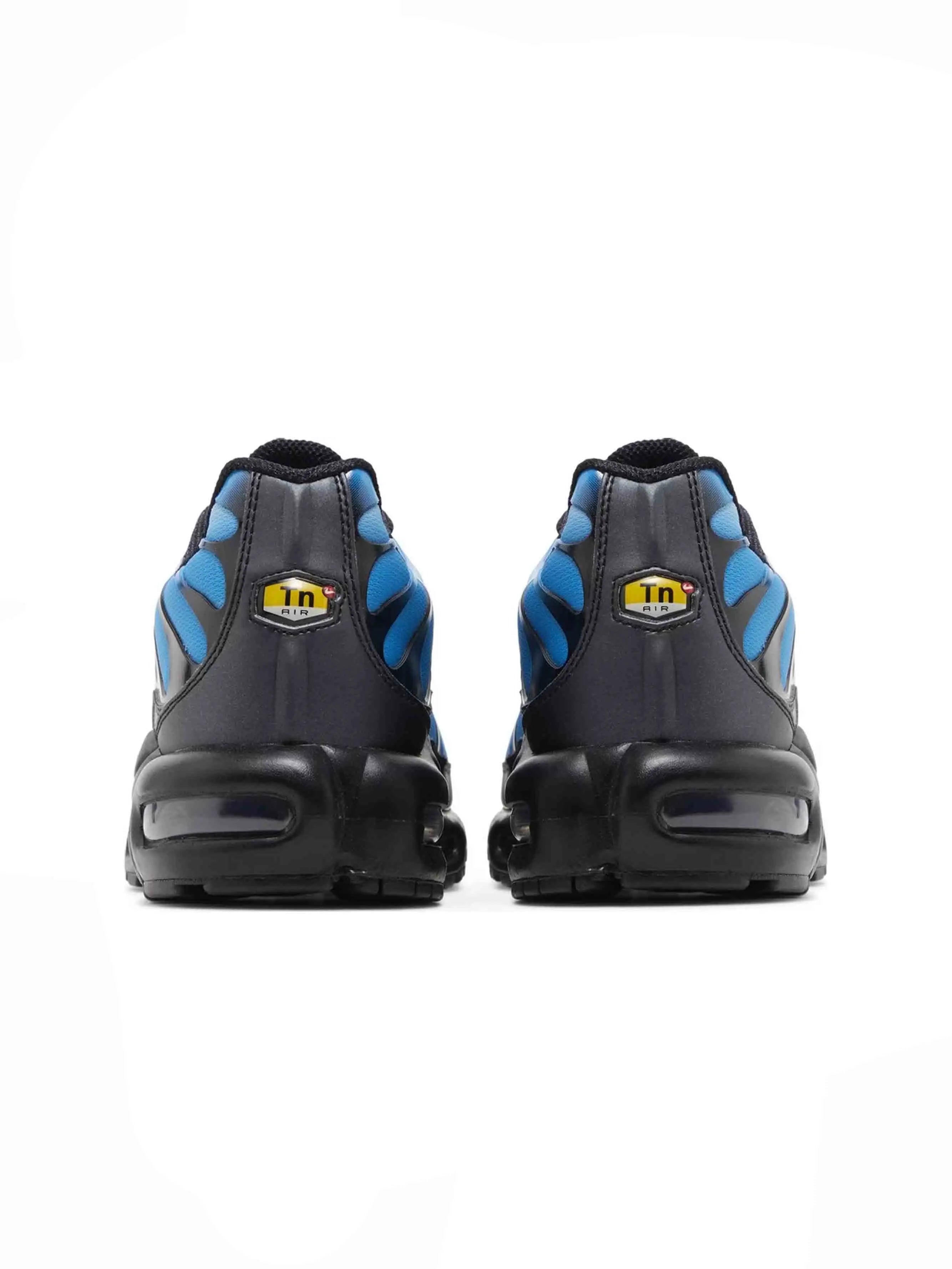 Nike Air Max Plus Blue Gradient FQ0204-010