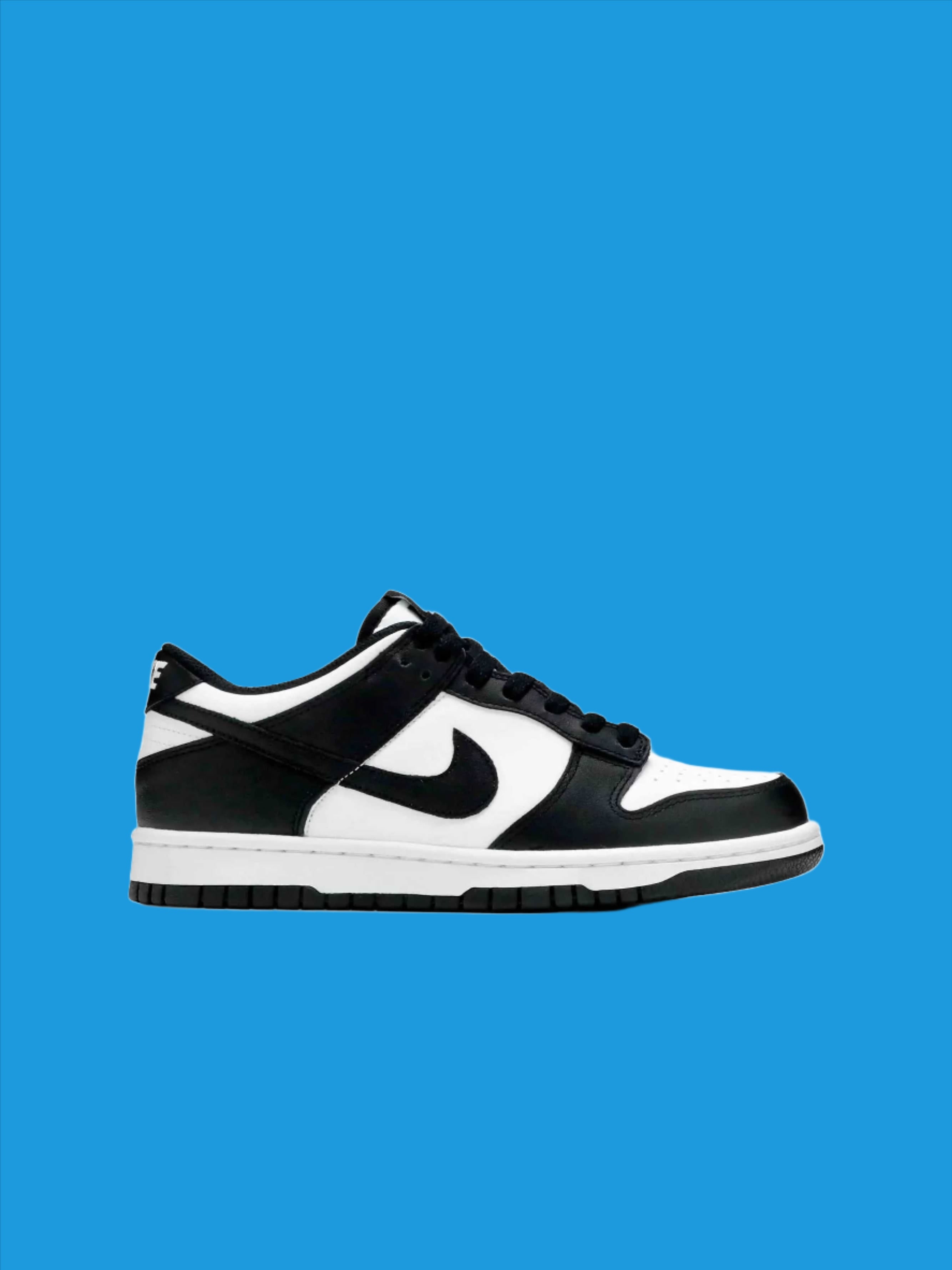 Used* Nike Dunk store Low Free 99 Size 10.5 M